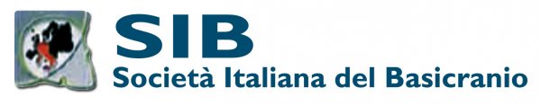 SIB logo 1